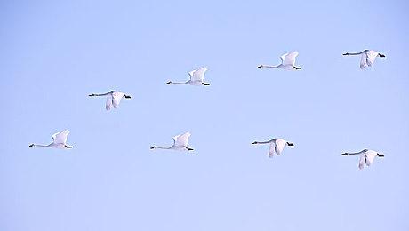 《EXELIO》Steam页面开放 支持简繁体中文